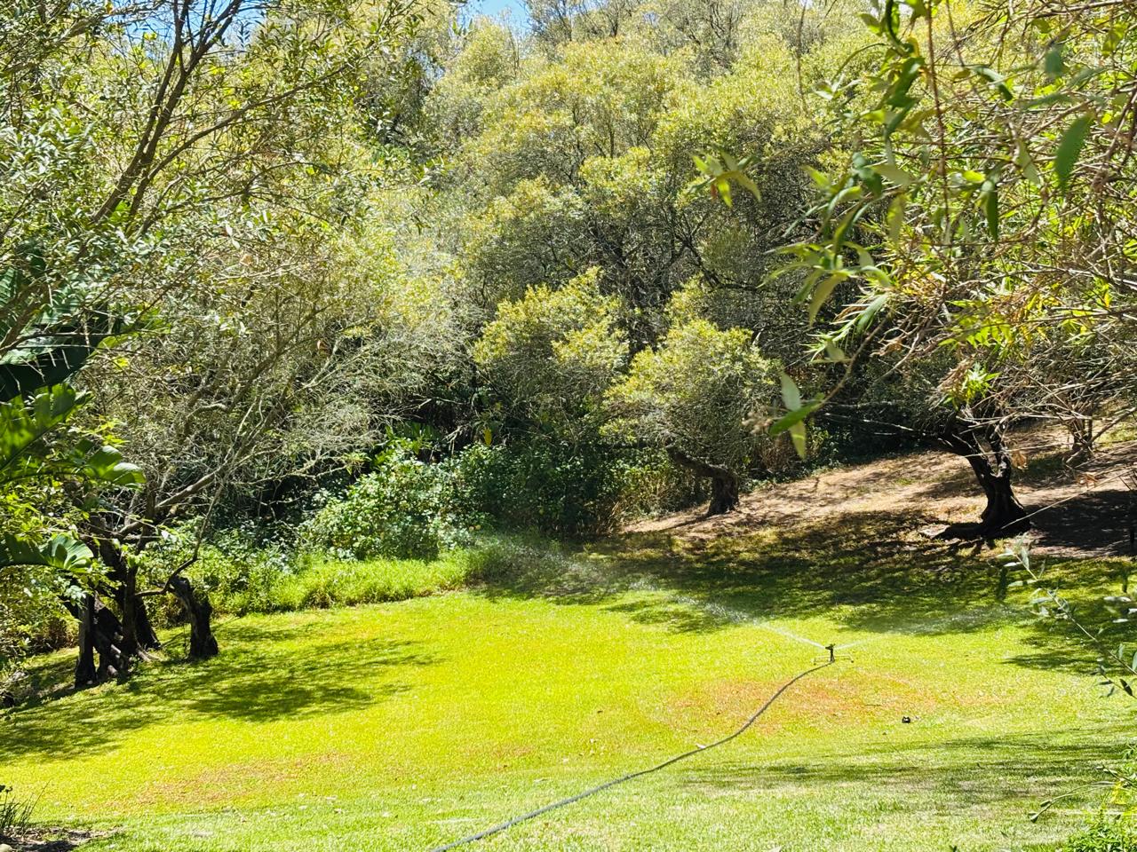 WhatsApp Image 2026-01-20 at 13.40.13 (1)