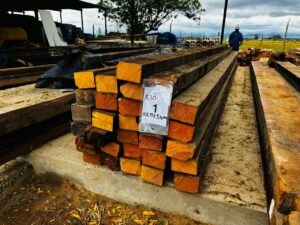 WhatsApp Image 2026-02-12 at 13.24.07