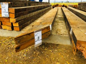 WhatsApp Image 2026-02-12 at 13.24.21 (1)