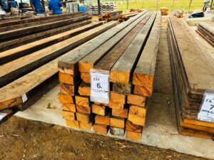 WhatsApp Image 2026-02-12 at 13.24.22 (1)