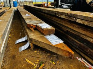 WhatsApp Image 2026-02-12 at 13.24.22 (13)