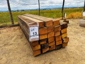 WhatsApp Image 2026-02-12 at 13.24.22 (8)