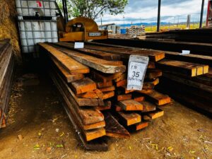 WhatsApp Image 2026-02-12 at 13.25.11